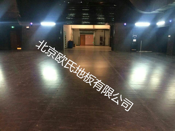 北京歐氏舞蹈地膠